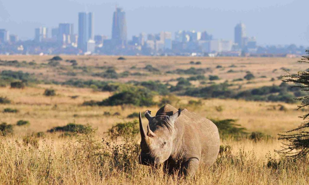 Nairobi National Park
