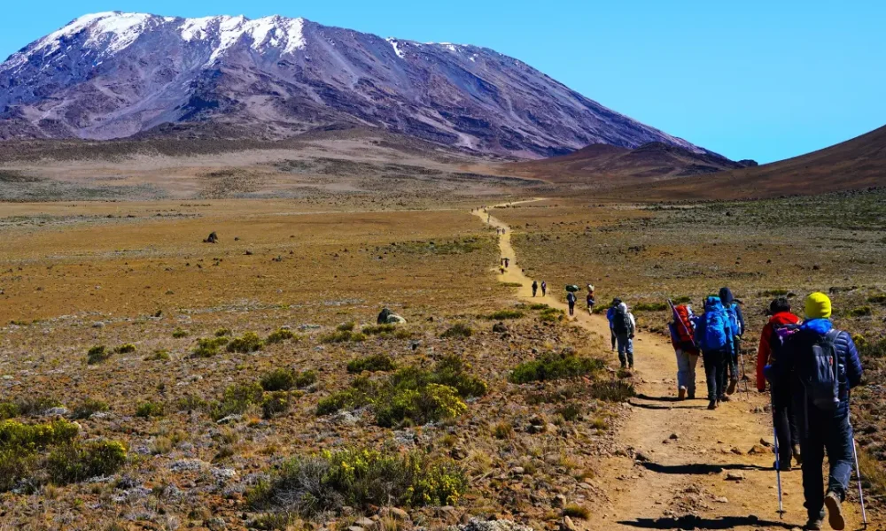 Day-by-Day Breakdown of the Machame Route on Kilimanjaro