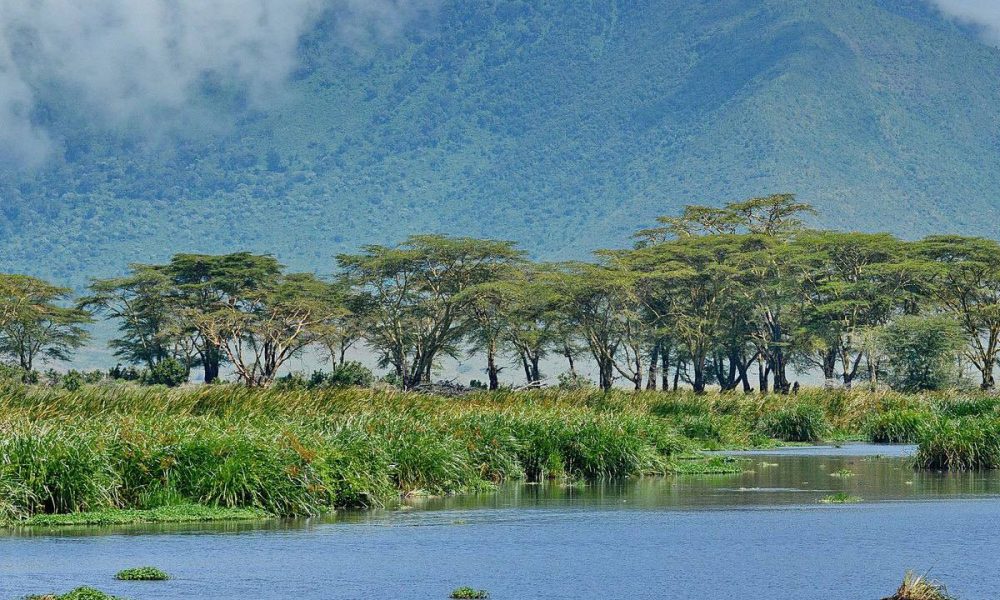 Ngorongoro Crater Day Trip