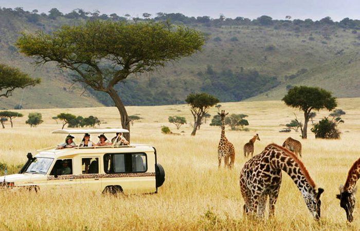 safaris-in-Tanzania.jpg