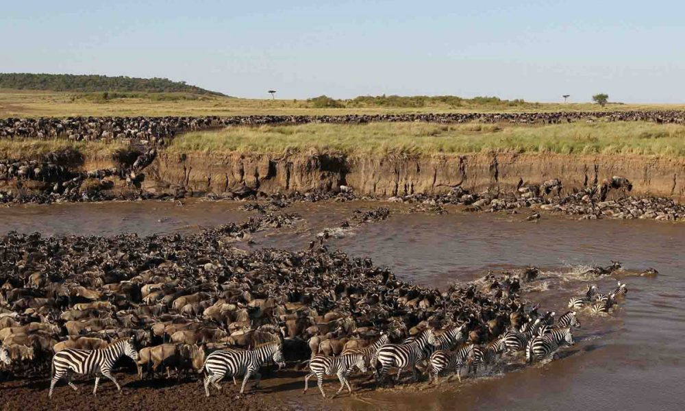 serengeti national park